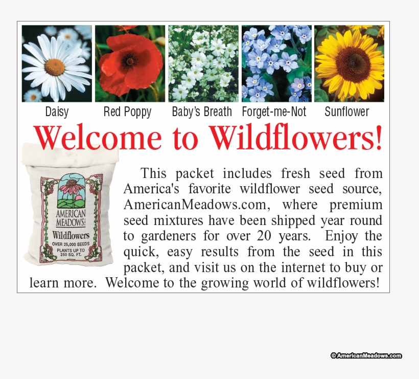 Baby's Breath Seed Packet - Sunflower, transparent png
