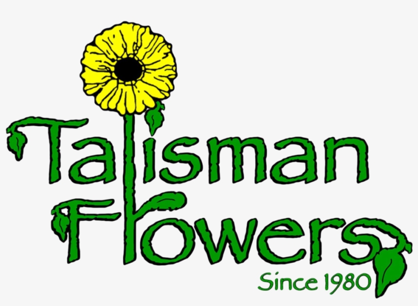 Sunflower, transparent png