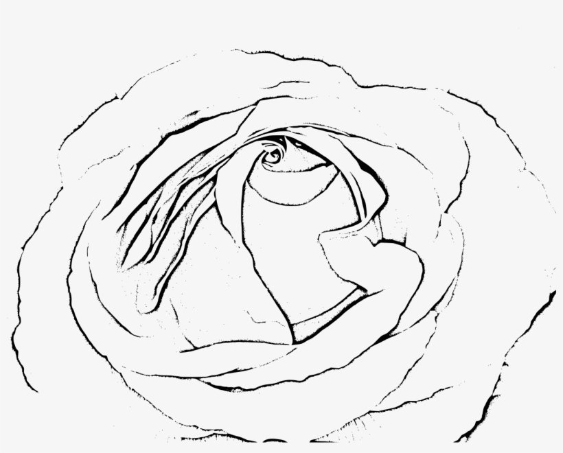 This Free Icons Png Design Of Rose Black & White, transparent png