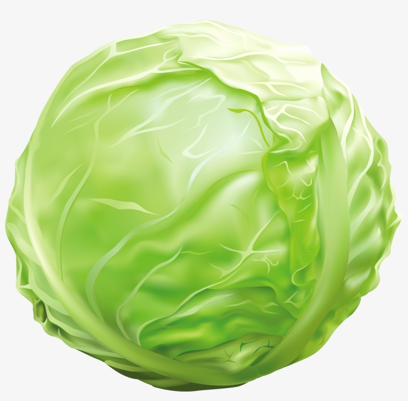 Cabbage Png Clipart Image - Clipart Images Of Cabbage, transparent png