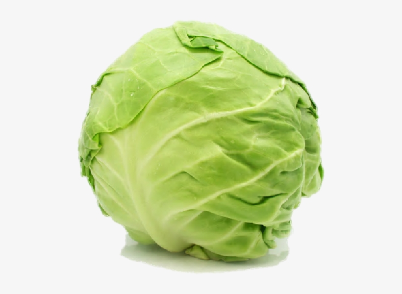 Cabbage Free Png Image - My First Big Book Of Vegetables, transparent png