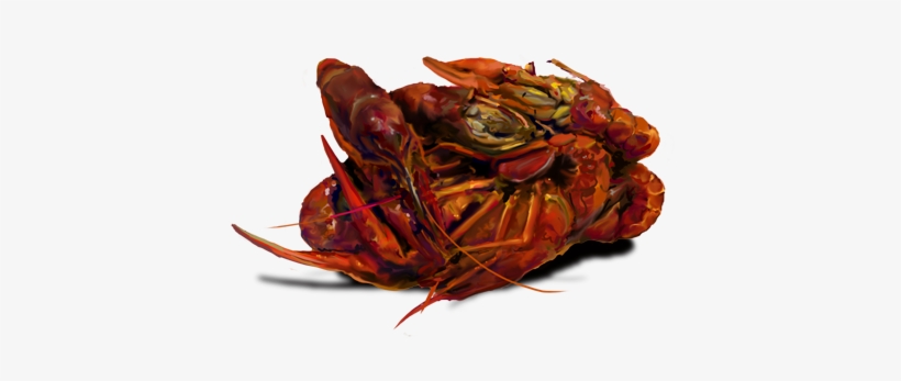 Get Your Crawfish Boil On At Capt - Homarus, transparent png