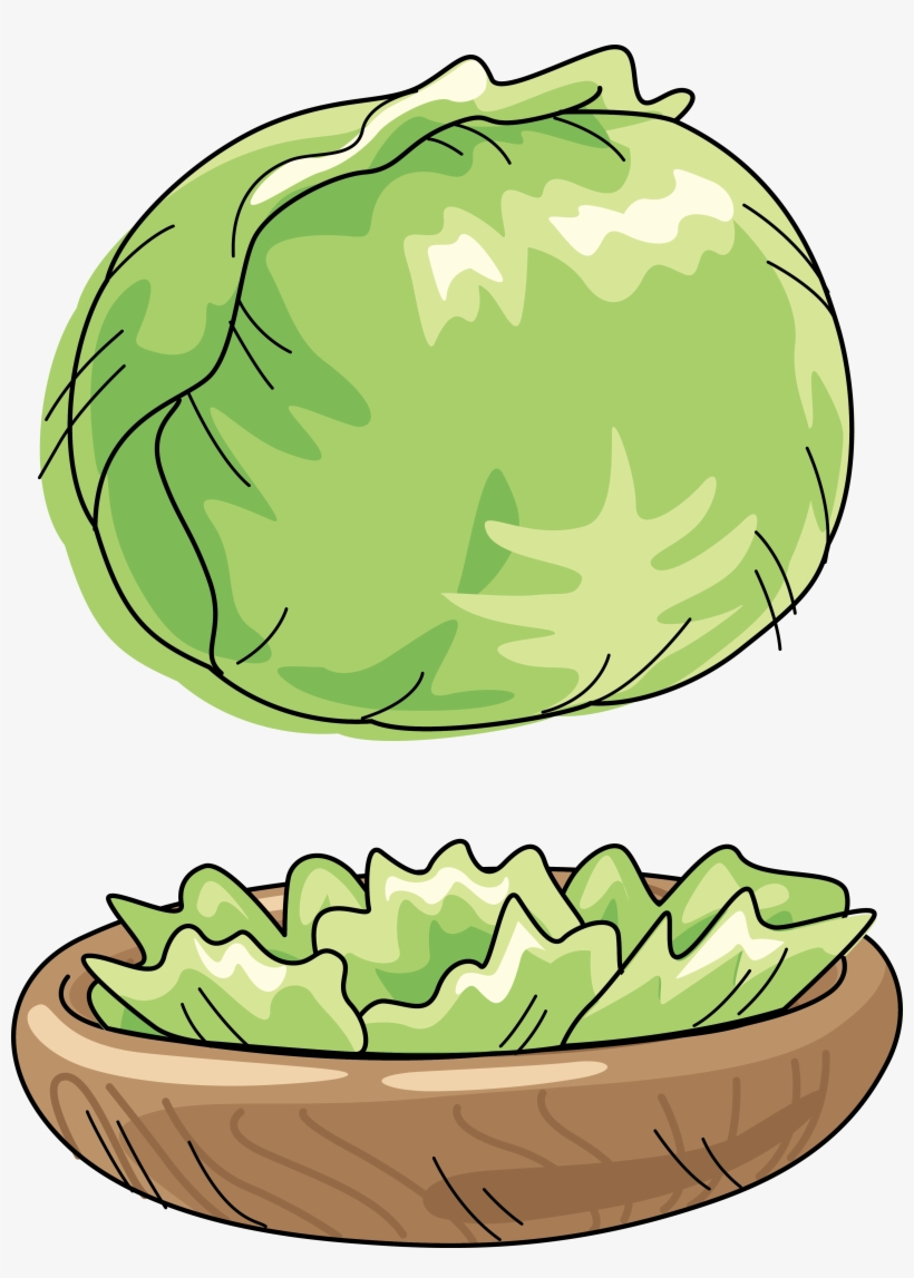 Cabbage Watermelon Vegetable Cartoon Clip Art - Vegetable, transparent png