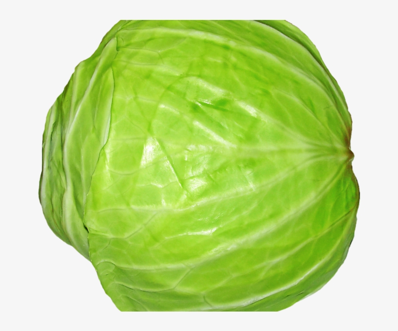 Cabbage Png Image1 - Cabbage Transparent, transparent png