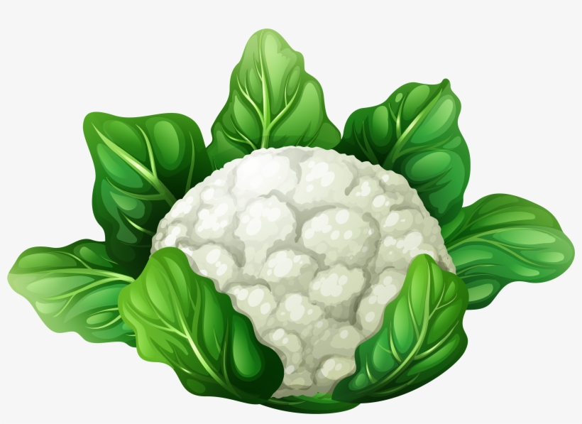 Png Clip Art Best Web - Clip Art Of Cauliflower, transparent png