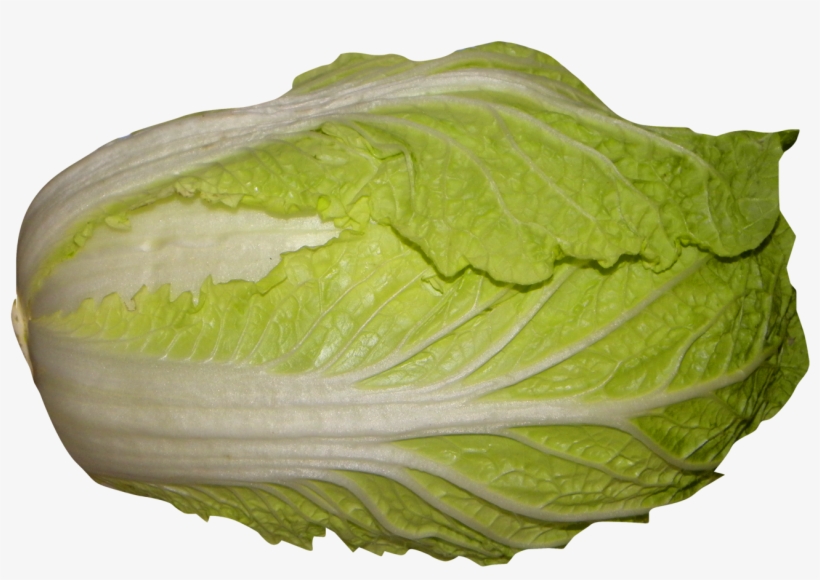 Napa Cabbage Png Image - Napa Cabbage Png, transparent png