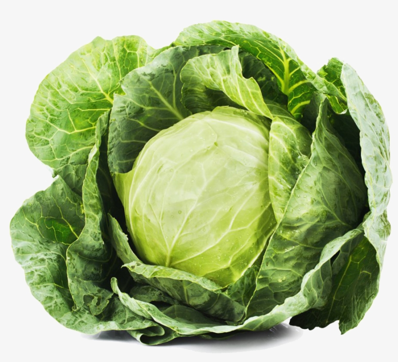 Cabbage Transparent Image, transparent png