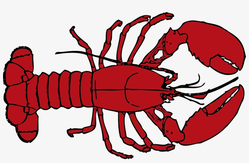 Free Stock Lobster Clip Art At Clker Com Vector - Lobster Clipart Transparent Background, transparent png