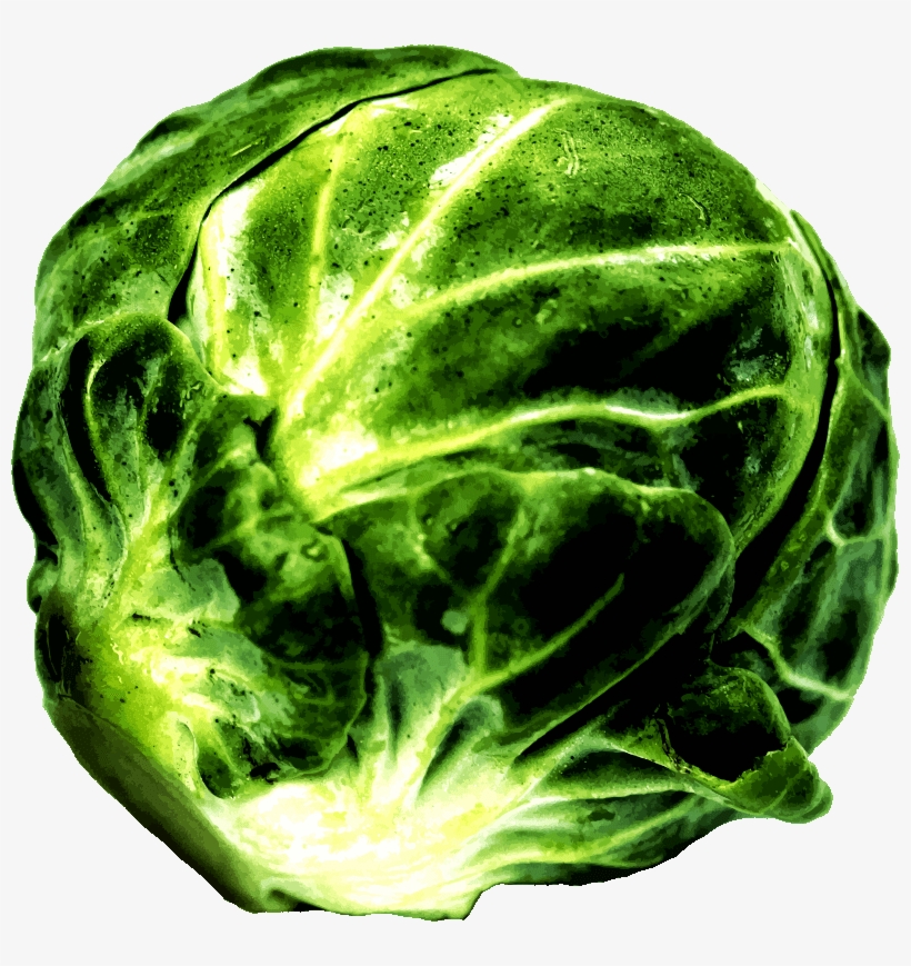 Something People Want Or Something They Need - Brussels Sprouts Clip Art, transparent png