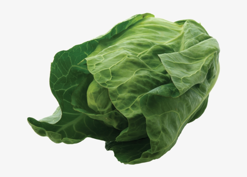 Ct York Cabbage - Connecticut, transparent png