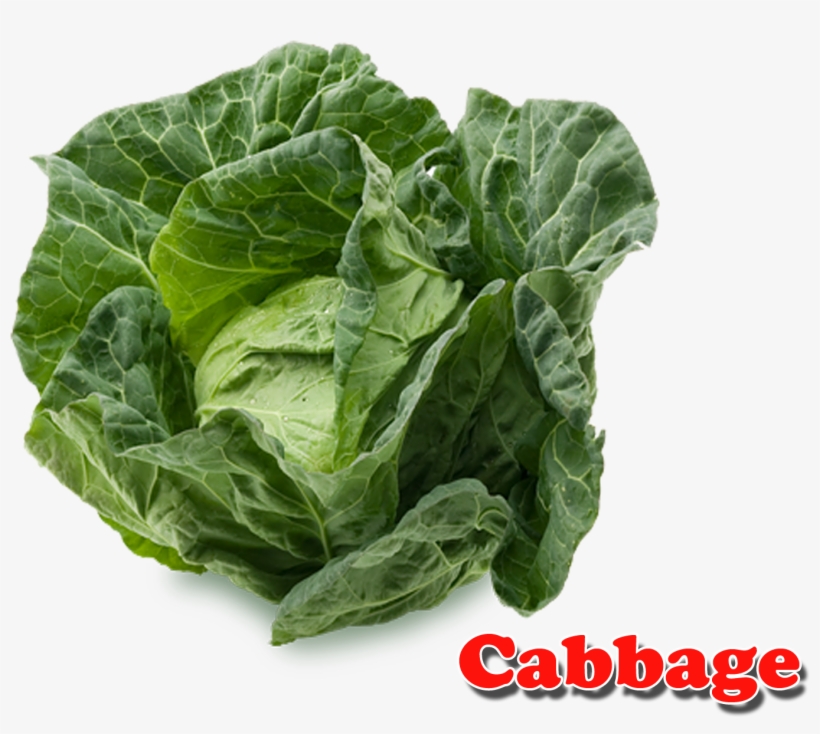 Cabbage Png, transparent png