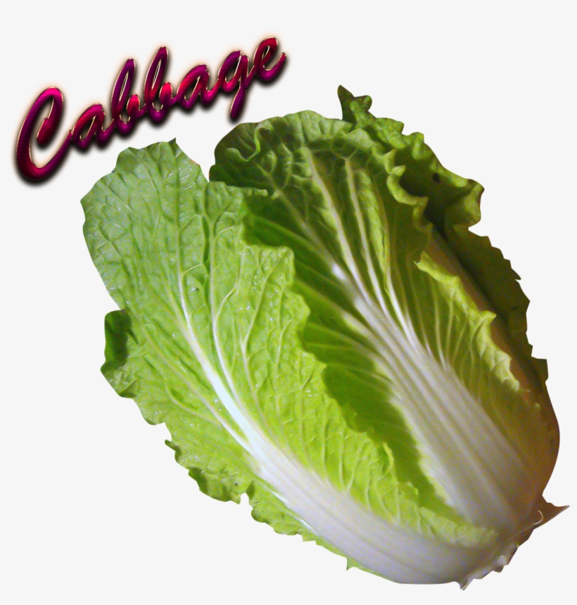 Cabbage Download Png - Cabbage, transparent png