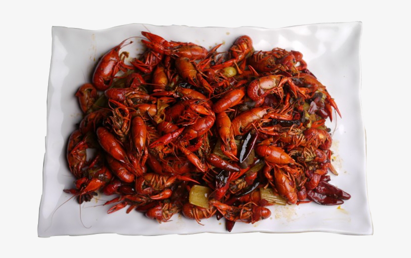 Spicy Cajun Boiled Crawfish - Mala Longxia, transparent png