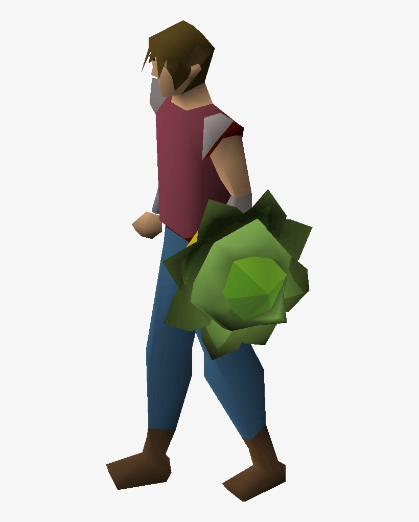 Cabbage Round Shield Equipped - Shield, transparent png