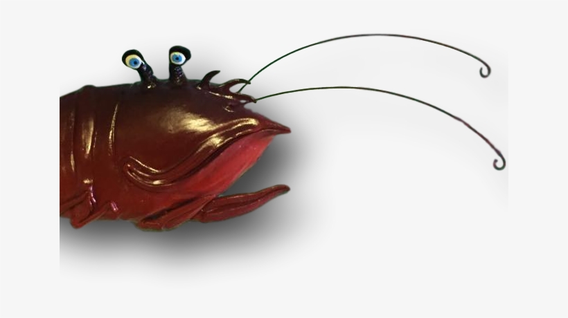 Crawfish Fish With Attitude - Insect, transparent png