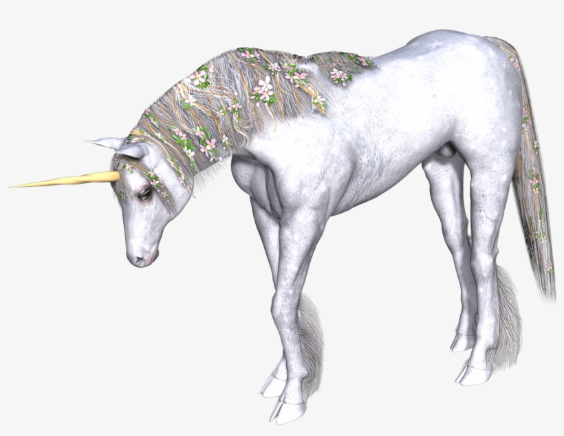 Download - Unicorns Transparent, transparent png
