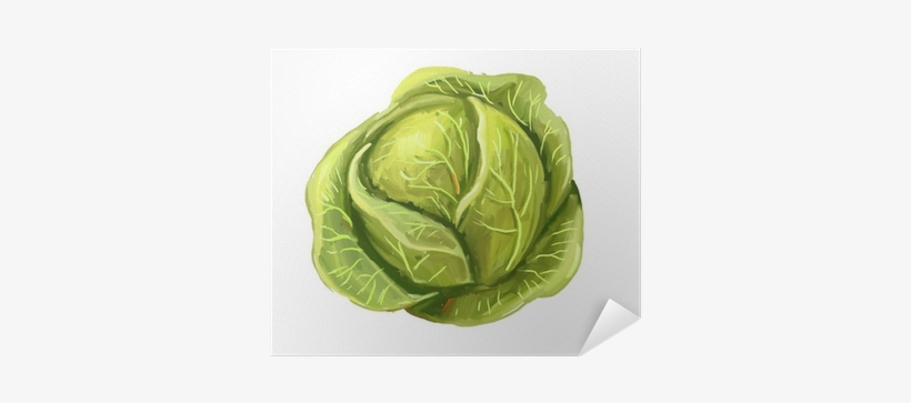 Cabbage Paint, transparent png