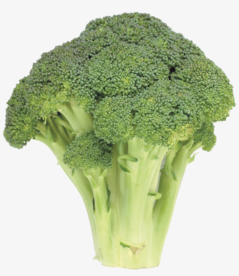 Lettuce Clipart Brocoli - Broccoli Transparent Background, transparent png