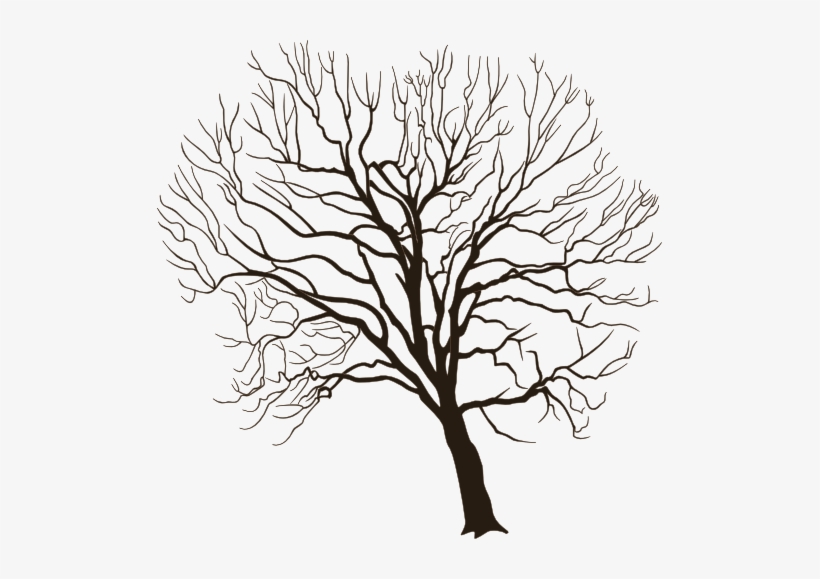 I Saw This Old Tree In The Middle Of A Field In A Local - Portable Network Graphics, transparent png