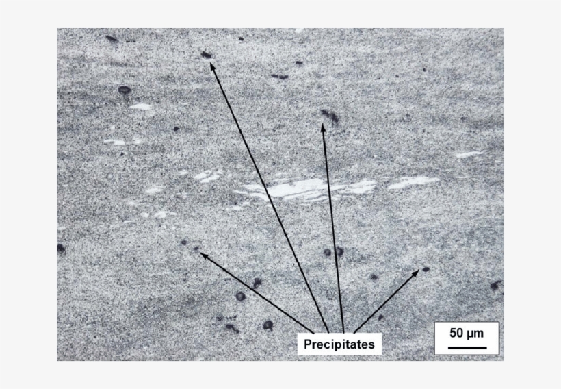 Dark Precipitates In A Microsection Of The Texture - Earrings, transparent png
