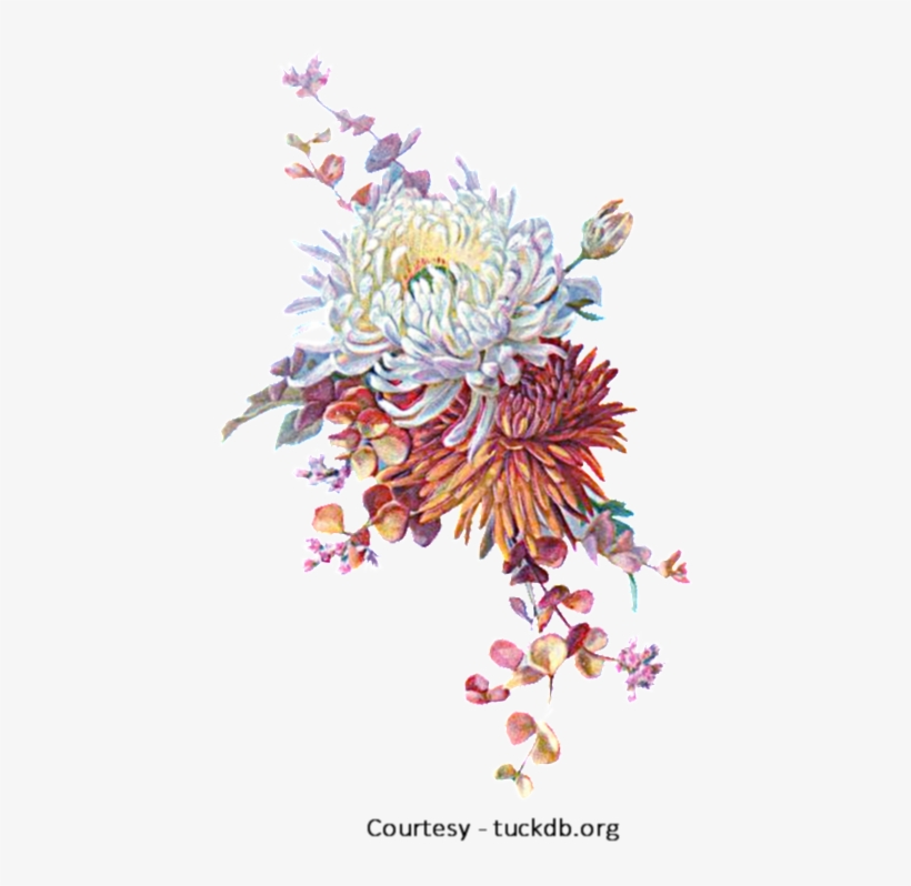 Fall Flowers A1 - Autumn Flowers Vintage Png, transparent png