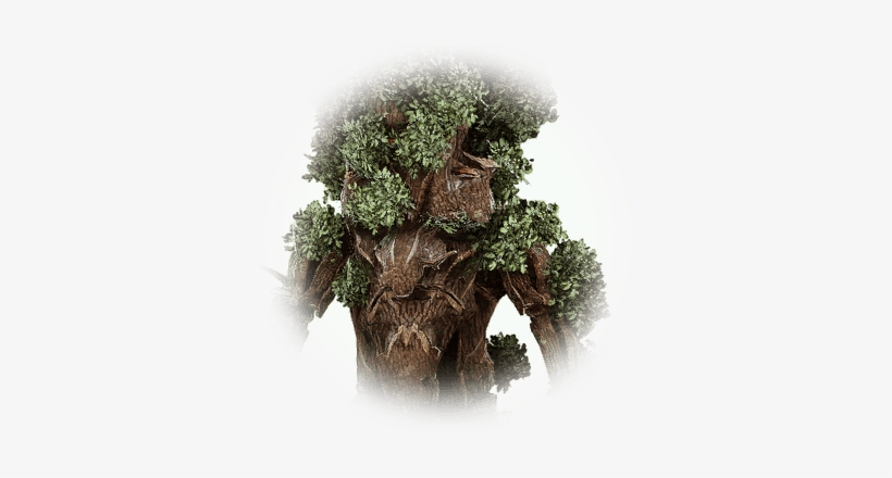 Old Tree Treant - Old Treant, transparent png