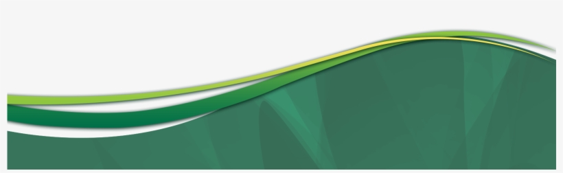 Garden Center - Illustration, transparent png