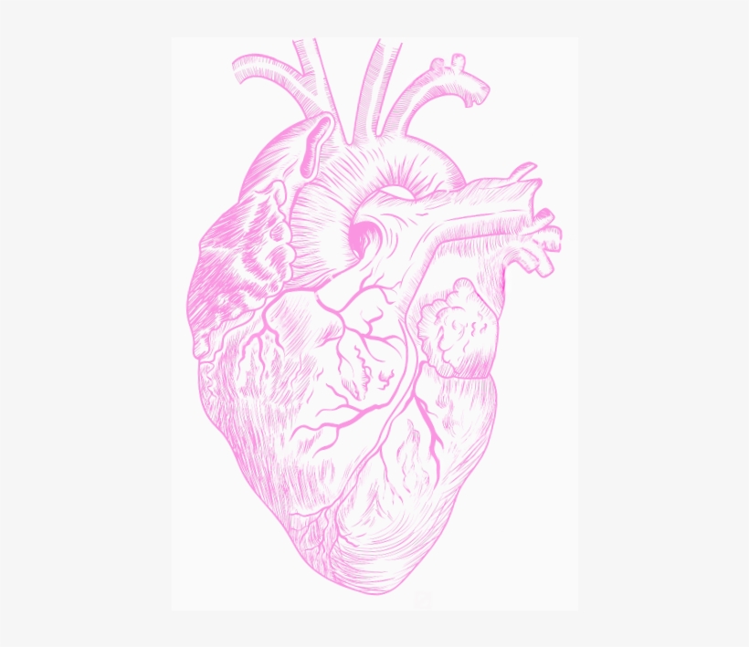 Smart B - Этюды О Природе Человека, transparent png