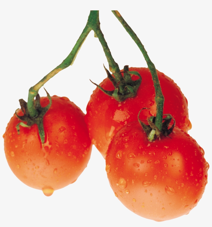 Tomatoes Png - Pomidory, transparent png