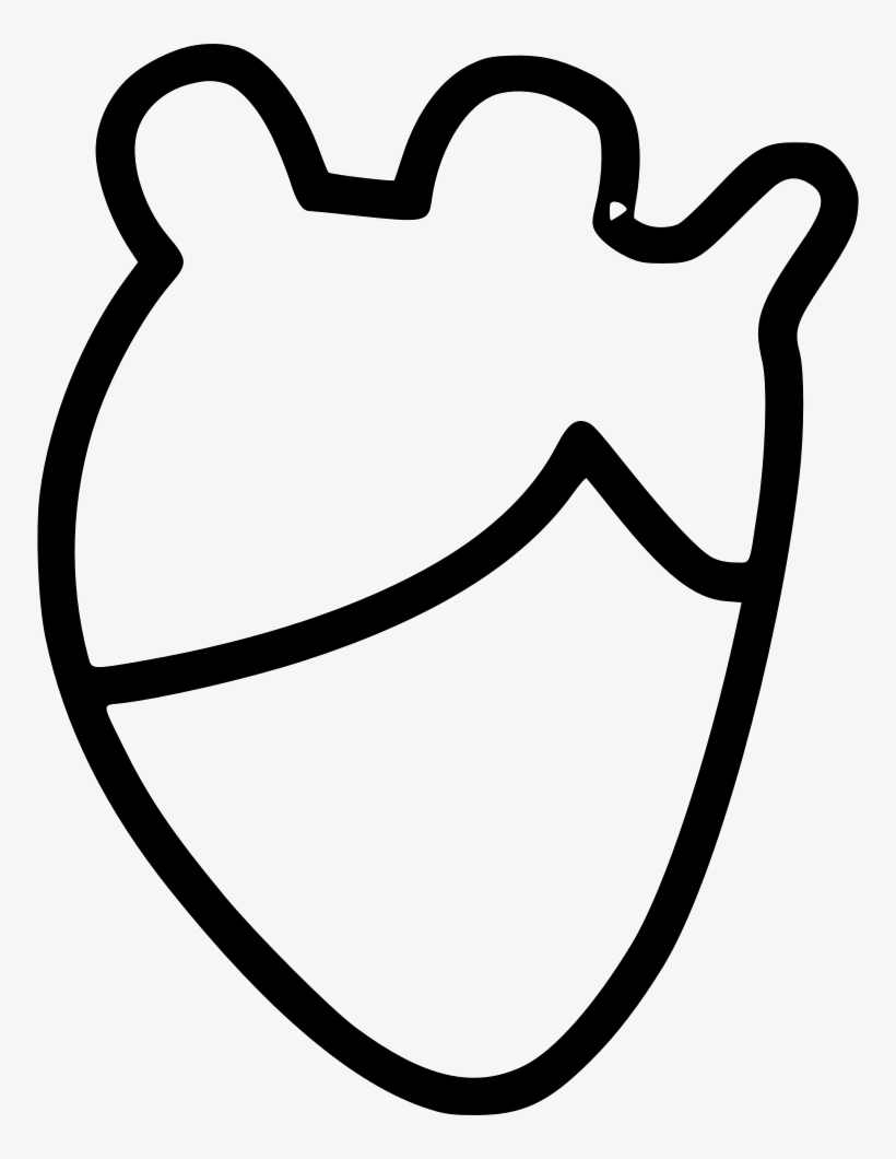 Heart Real Anatomy - Organ, transparent png
