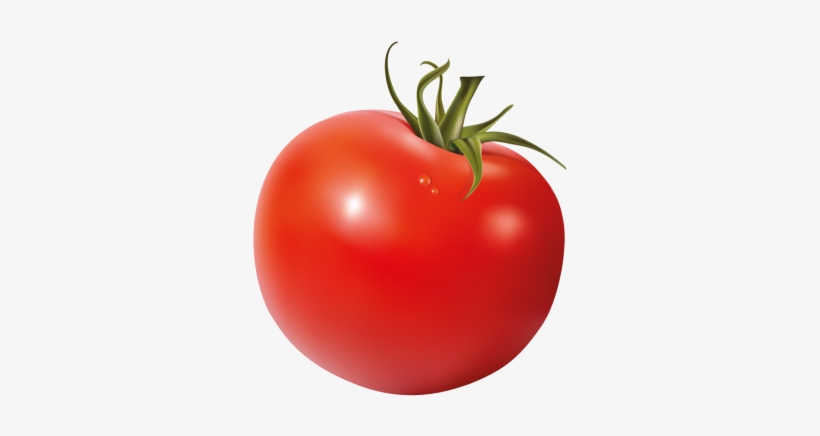Tomatoes - Plum Tomato, transparent png