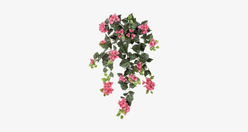 Editing Image - Ivy With Flower Png, transparent png