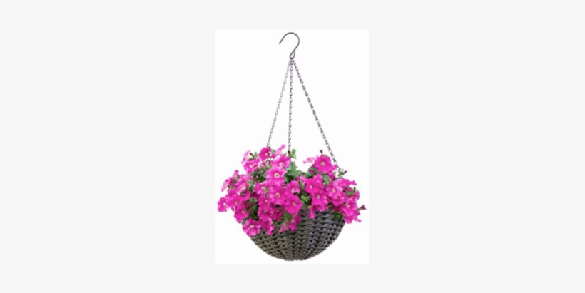 Gorgeous For Flowers Outdoors, Bring This Resin Basket - Bougainvillea, transparent png