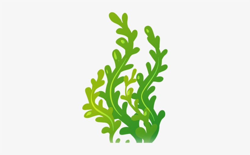 Image Title - Seaweed Clipart, transparent png