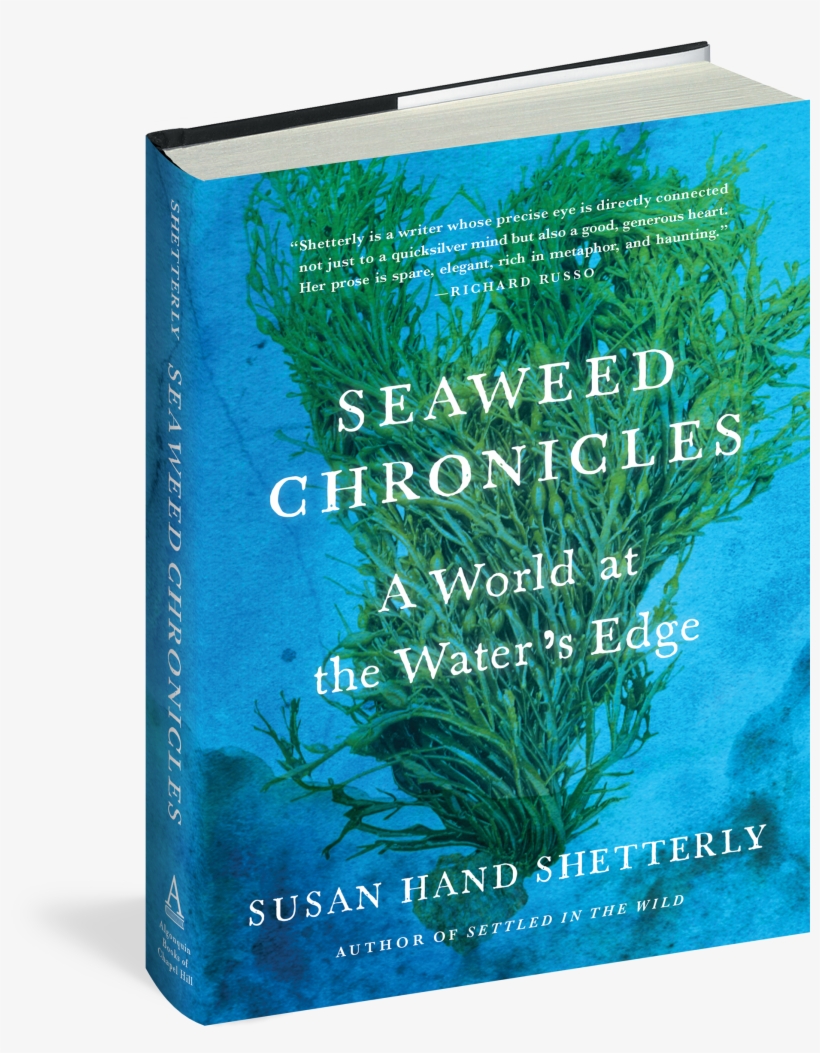 Cover - Book Cover, transparent png