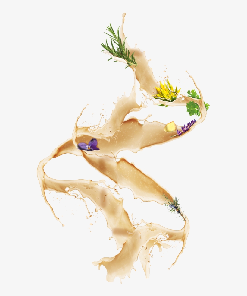 Bild1 Bild2 Bild2 - Illustration, transparent png