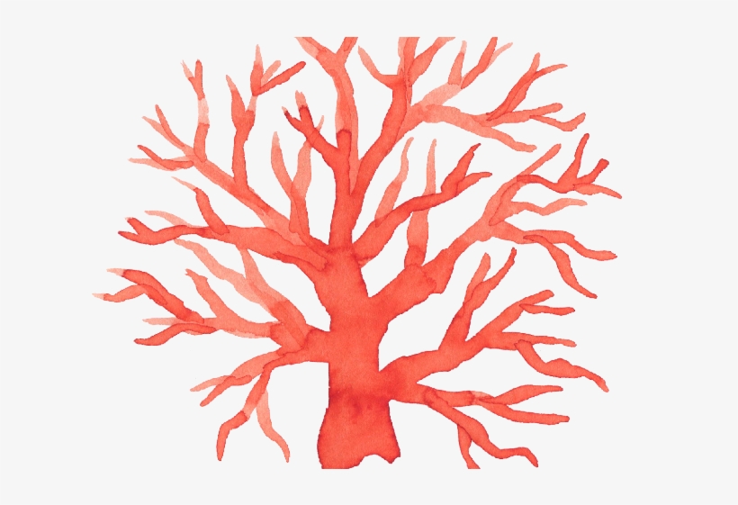 6 Months Membership To Bring Art Home - Plants, transparent png