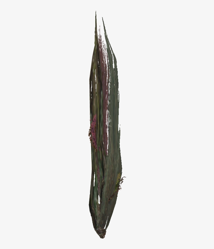 Thin Seaweed - Sketch, transparent png