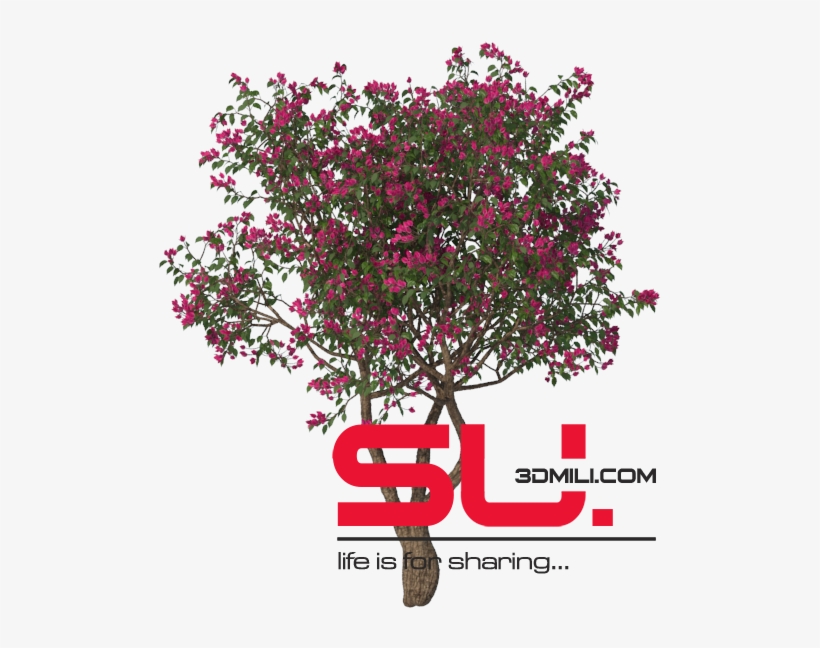 This Content Is Locked, transparent png