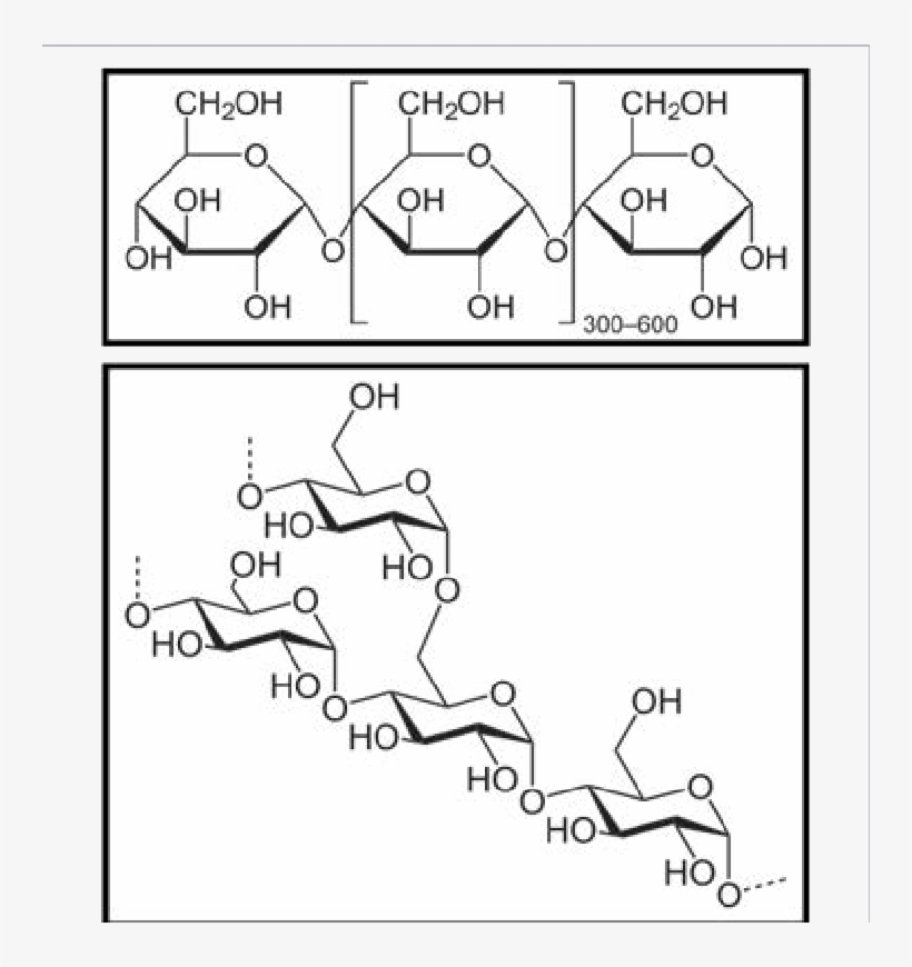 The Biochemical Compound Starch Detected By Nir Is - Starch Structure, transparent png