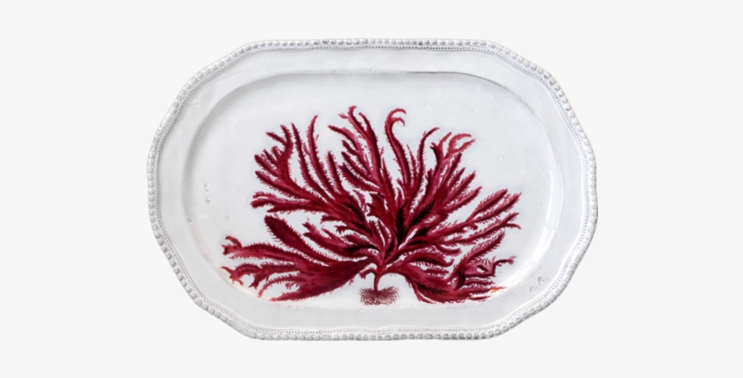 Red Seaweed Platter - Red Seaweed, transparent png