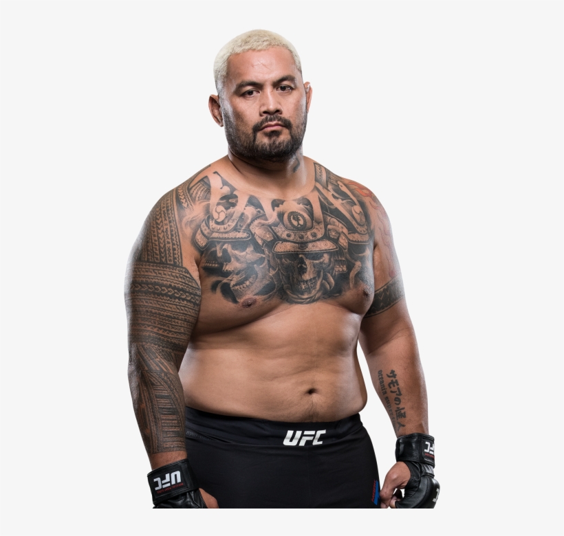 Biography - Mark Hunt Vs Justin Willis, transparent png