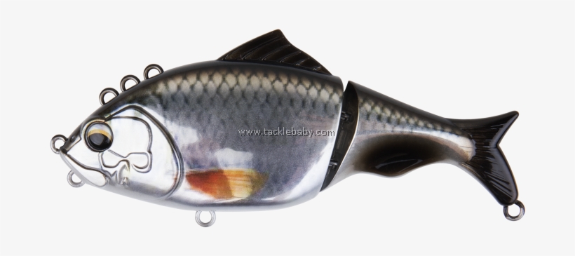 Carp, transparent png