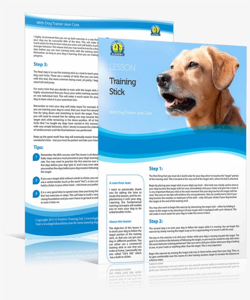 Share This Free Dog Training Lesson With Your Dog Loving - Labrador Retriever, transparent png