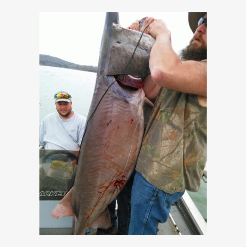 Belobraydic And Several Buddies Were Fishing The James - Jigging, transparent png