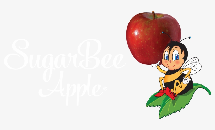 Logo Dark Logoo Light Logo - Sugarbee, transparent png