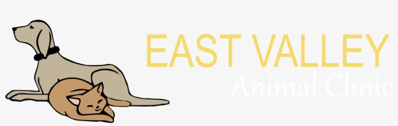Clip Royalty Free Download Dentistry X Ray East Valley - Cowboy Boot, transparent png