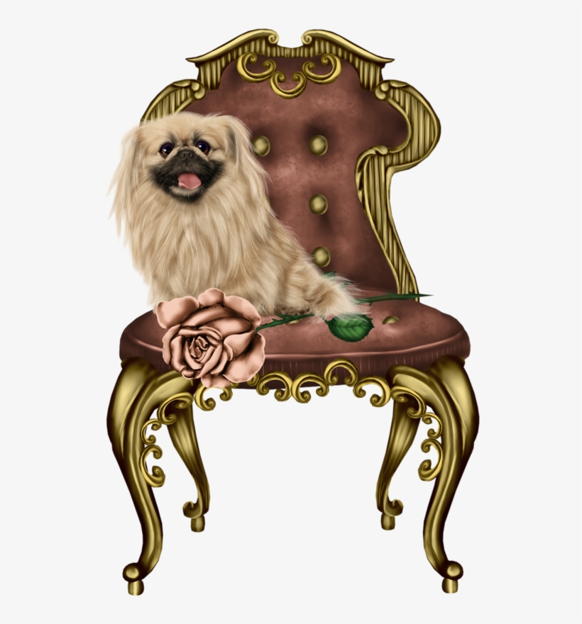 Ancient Dog Breeds, transparent png