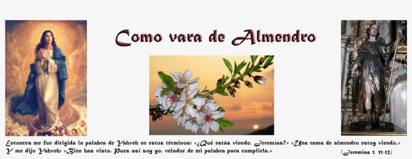 Colegio Colonos De Alerce, transparent png