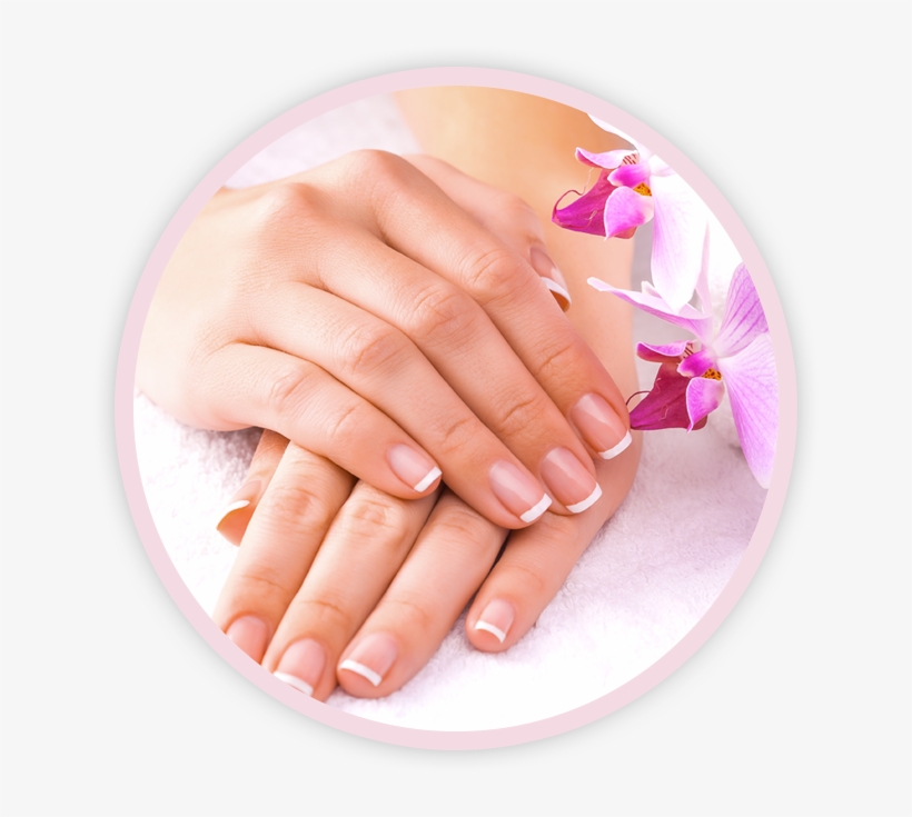 Home The Nail Lounge - Ногти И Орхидея, transparent png